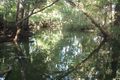 Property photo of 24 Paskins Road Yalboroo QLD 4741