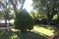 Property photo of 1 Sanderson Street Dubbo NSW 2830