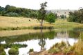 Property photo of 79 Nowendoc Road Niangala NSW 2354