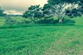 Property photo of 88 Melba Close Peeramon QLD 4885