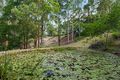 Property photo of 116 Perrins Road Eudlo QLD 4554
