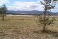 Property photo of 181 Porcupine Lane Tintinhull NSW 2352