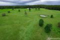 Property photo of 483 Seven Hills Road Collombatti NSW 2440