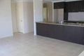 Property photo of 38 Melissa Street Upper Coomera QLD 4209