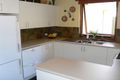Property photo of 124 Ayers Avenue Melrose Park SA 5039