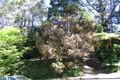 Property photo of 72 Hewitt Avenue Wahroonga NSW 2076