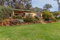 Property photo of 66 Cussons Road Shadforth WA 6333