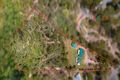 Property photo of 27-29 Strawpocket Court Jimboomba QLD 4280
