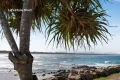 Property photo of 50B McLeod Drive Scotts Head NSW 2447