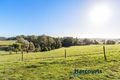 Property photo of 331 Upper Stowport Road Stowport TAS 7321