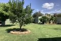 Property photo of 69 Palm Avenue Leeton NSW 2705