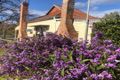 Property photo of 6 Williams Street Euroa VIC 3666