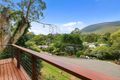 Property photo of 7 Pamela Court Millgrove VIC 3799