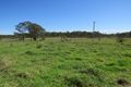 Property photo of 3 Armidale Road Coutts Crossing NSW 2460