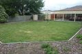 Property photo of 38 Colac Grove Belmont VIC 3216