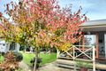 Property photo of 4220 Bass Highway Dalyston VIC 3992