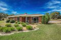 Property photo of 20 Hickory Street Thurgoona NSW 2640