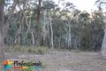 Property photo of 291 Mount Haven Way Meadow Flat NSW 2795