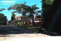 Property photo of 66 Grange Road Glenhaven NSW 2156