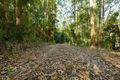 Property photo of 486 Davis Road Jiggi NSW 2480