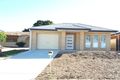 Property photo of 11A Sydney Street Ridgehaven SA 5097