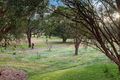 Property photo of 36 Hughes Crescent Kiama Downs NSW 2533