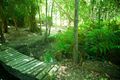 Property photo of 7 Bangalow Court Cooroy QLD 4563