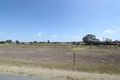 Property photo of 554 Etna Creek Road Etna Creek QLD 4702