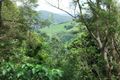 Property photo of 203 Nandroya Road Cooroy QLD 4563