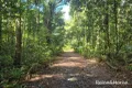 Property photo of 7 Fig Tree Road Cow Bay QLD 4873