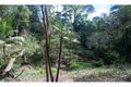 Property photo of 2289 Springbrook Road Springbrook QLD 4213
