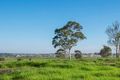 Property photo of 14 Wicklow Road Chisholm NSW 2322