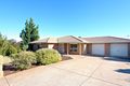 Property photo of 4 Sheffield Place Blakeview SA 5114