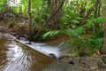 Property photo of 197 Forest Creek Road Forest Creek QLD 4873