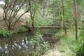 Property photo of 10 Annette Way Coromandel Valley SA 5051