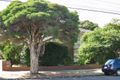Property photo of 5/19 Wattle Avenue Glen Huntly VIC 3163