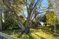 Property photo of 312 Wrights Lane Northdown TAS 7307