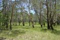 Property photo of 496 Matchbox Road Deepwater QLD 4674