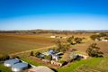 Property photo of 152 Light Pass Road Stockwell SA 5355