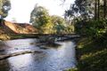 Property photo of 60 Brindle Creek Road Loadstone NSW 2474
