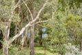 Property photo of 128 Dandaraga Road Mirrabooka NSW 2264