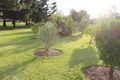 Property photo of 16 Omaru Street Loganholme QLD 4129