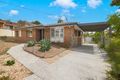 Property photo of 131 Ziegenfusz Road Thornlands QLD 4164