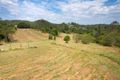 Property photo of 42 Lyndale Road Pullenvale QLD 4069