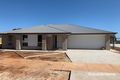 Property photo of LOT 290 Pedlar Close Blakeview SA 5114
