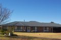 Property photo of 105 Kurrajong Parade Narromine NSW 2821