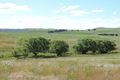 Property photo of 383 Woodhouselee Road Wayo NSW 2580
