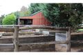 Property photo of 50 Wood Street Tenterfield NSW 2372