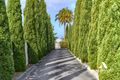 Property photo of 56 Greenshields Street Mira Mar WA 6330