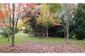Property photo of 50 Wood Street Tenterfield NSW 2372